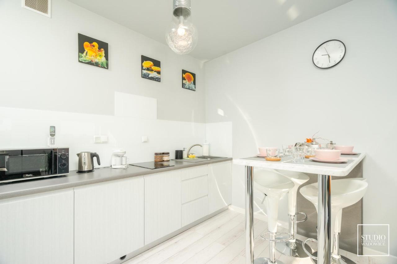 Apartament Modern Apartment Wadowice Ngoại thất bức ảnh